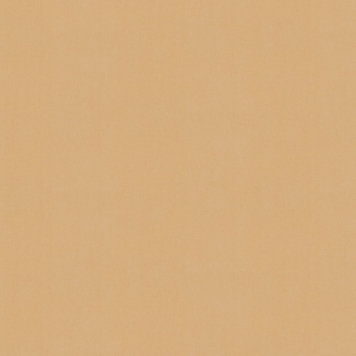 Vliestapete terra braun B/L: ca. 53x1005 cm