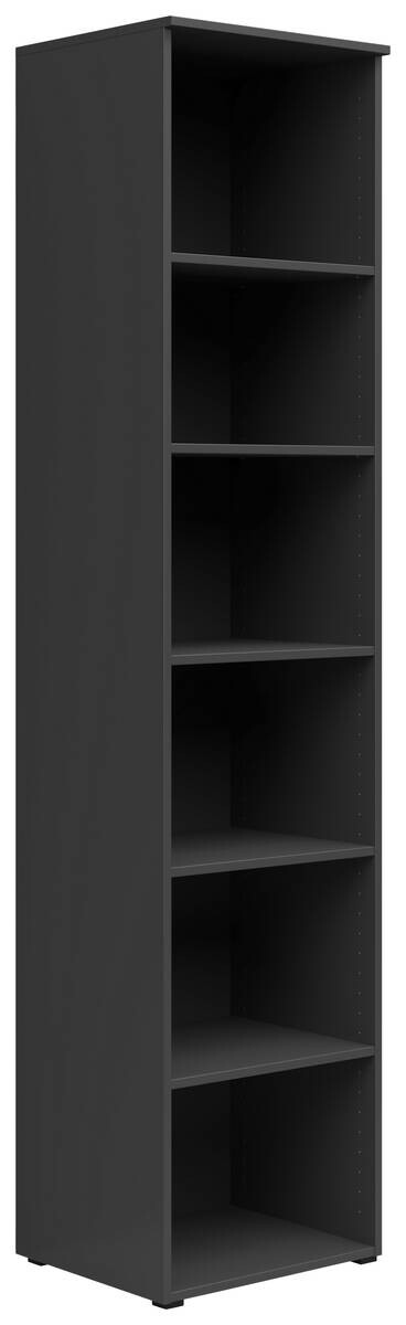 Regal Multi-Stauraum Typ 19 anthrazit B/H/T: ca. 45x195x40 cm