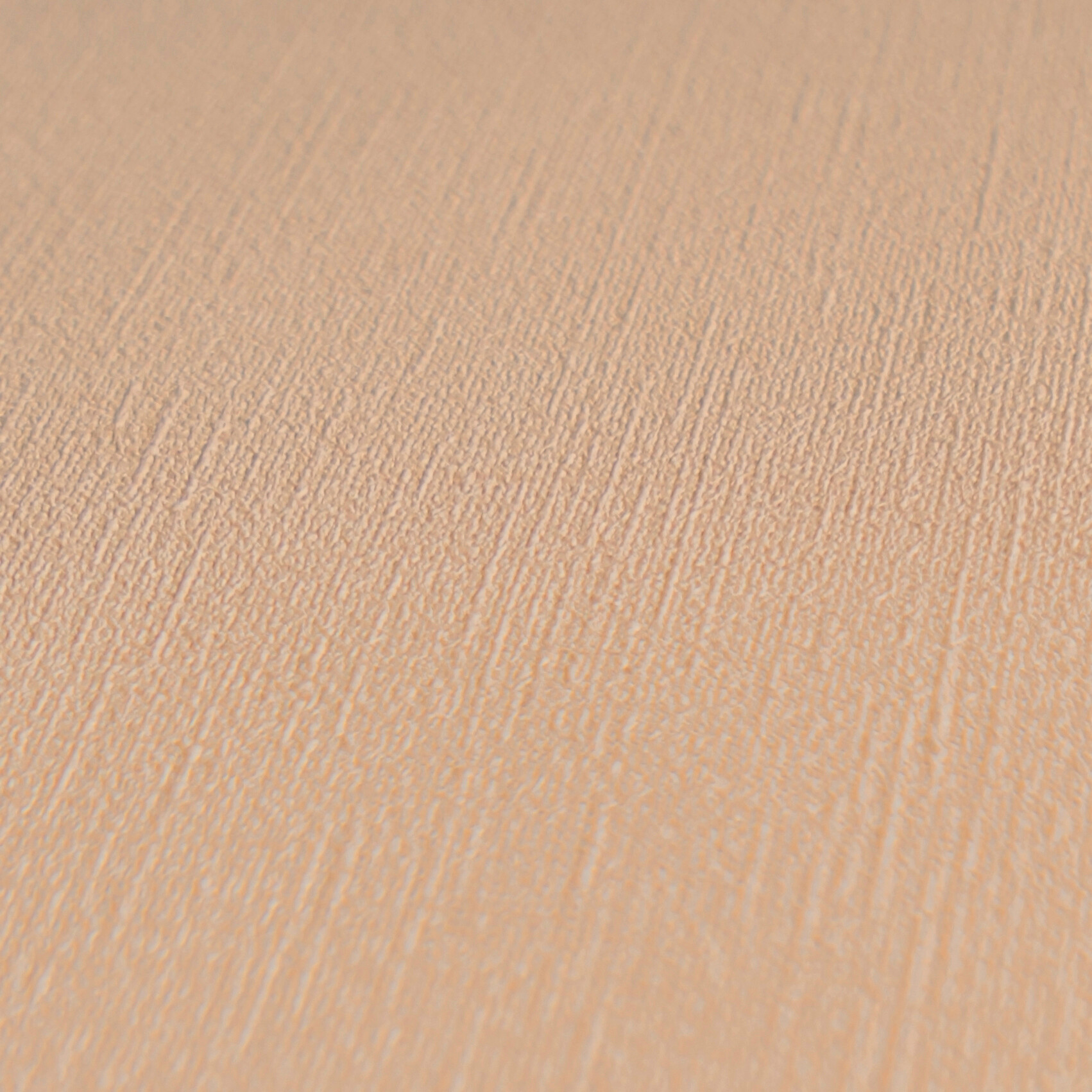 A.S.Creation Vliestapete braun B/H/D: ca. 53x1005x8,3 cm