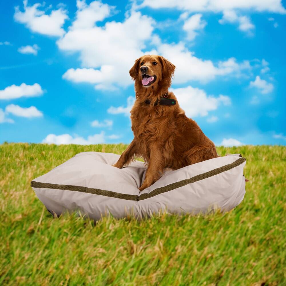 Haustierbett beige Polyester B/H/L: ca. 120x20x80 cm