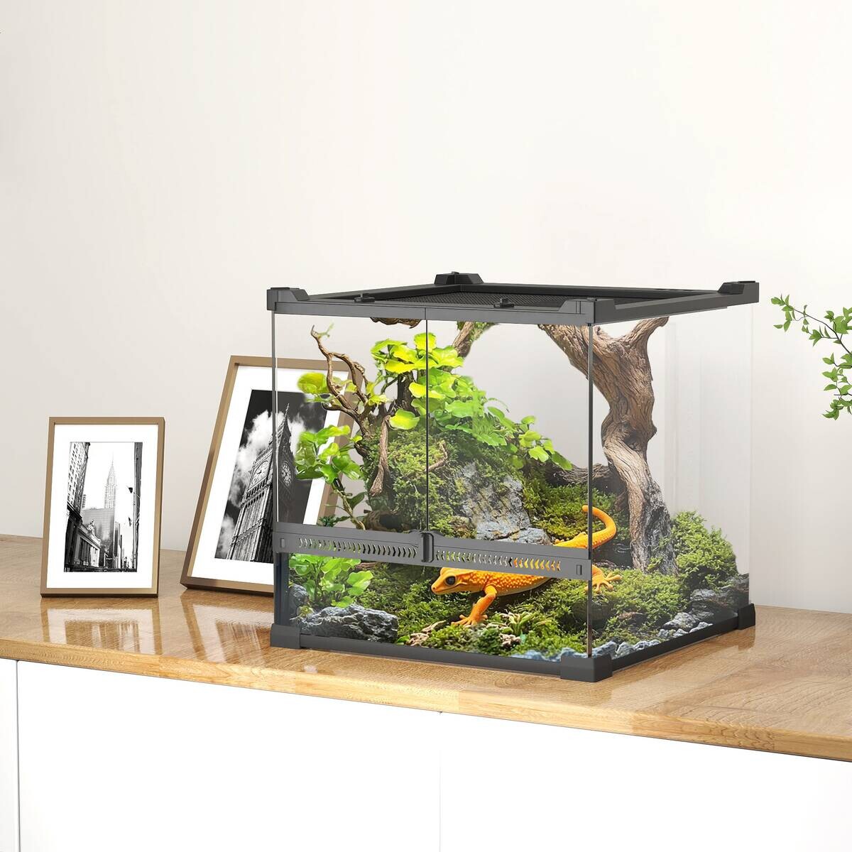 PawHut Terrarium schwarz Stahl B/H/L: ca. 30x30x30 cm