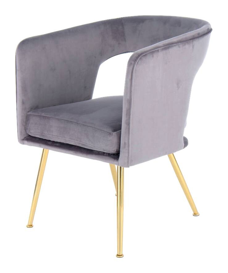 Stuhl Jolene 100 grau Microfaser Samt B/H/T: ca. 60x77x63 cm