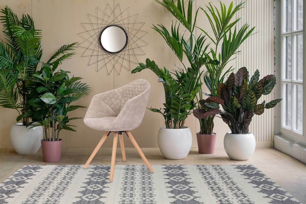 Stuhl Chadwick 100 2er creme Microfaser B/H/T: ca. 59x82x55 cm