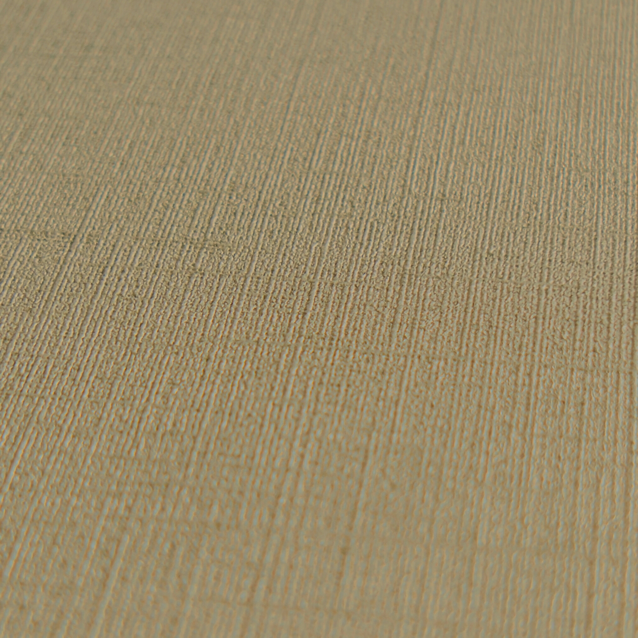 A.S.Creation Vliestapete khaki B/H/D: ca. 53x1005x8,3 cm