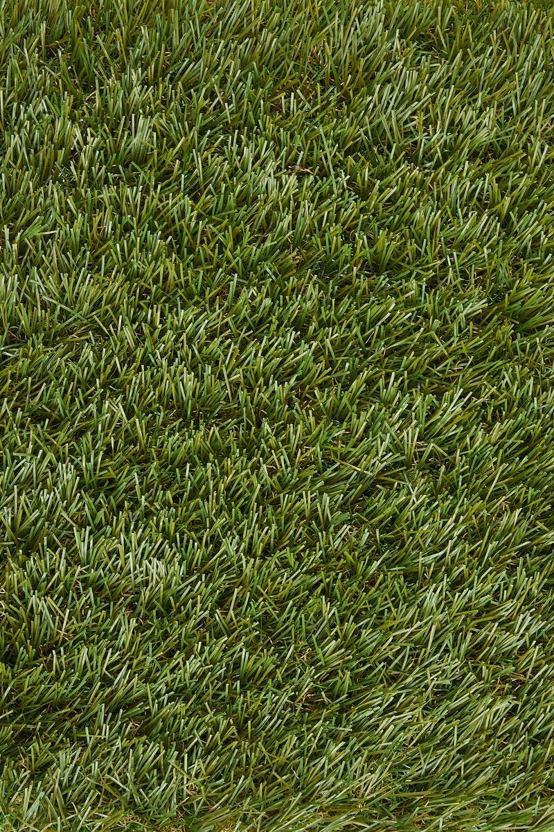 Kunstrasen Newcastle grün B: ca. 200 cm pro m²