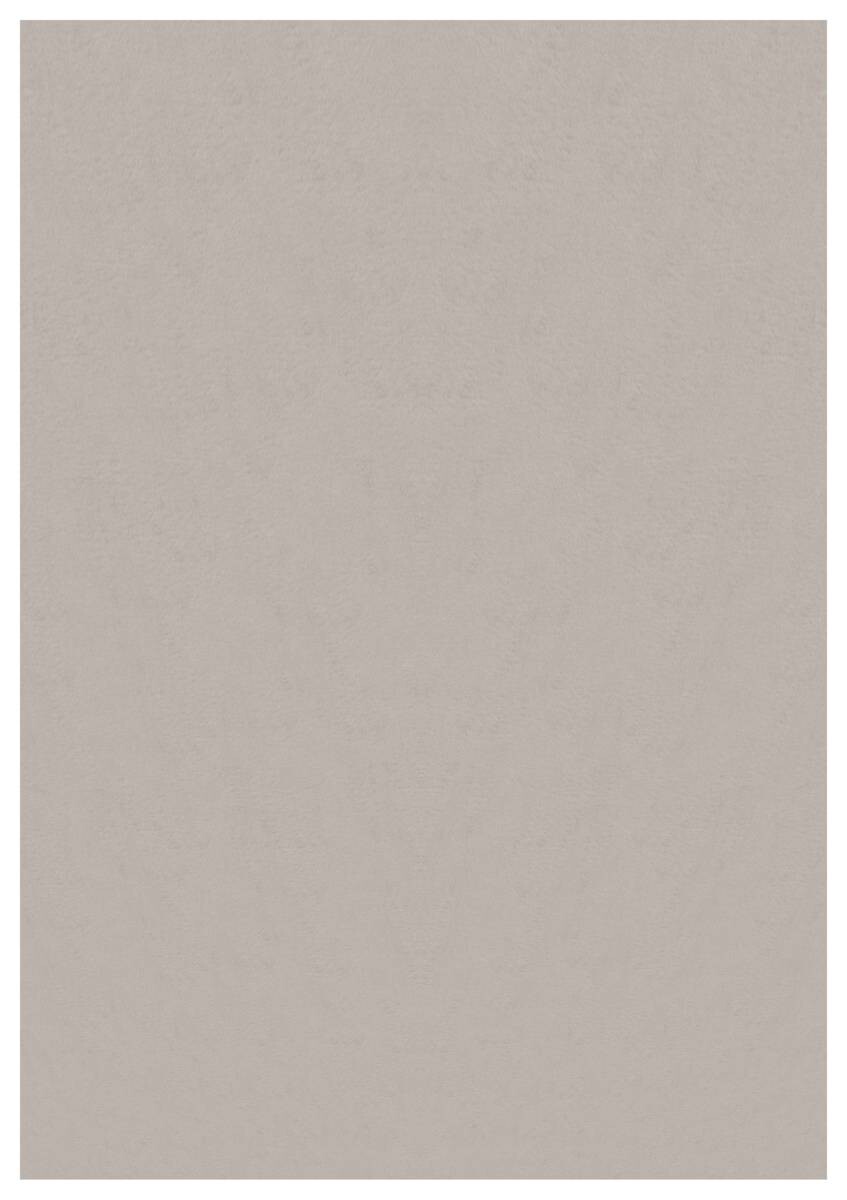 Ayyildiz Teppich SKY beige B/L: ca. 160x230 cm