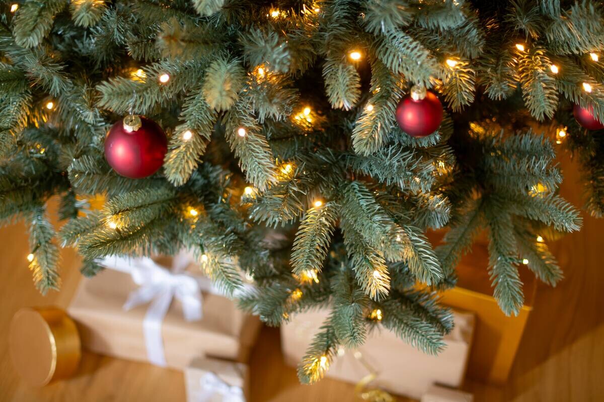 Evergreen Weihnachtsbaum Vermont Fichte