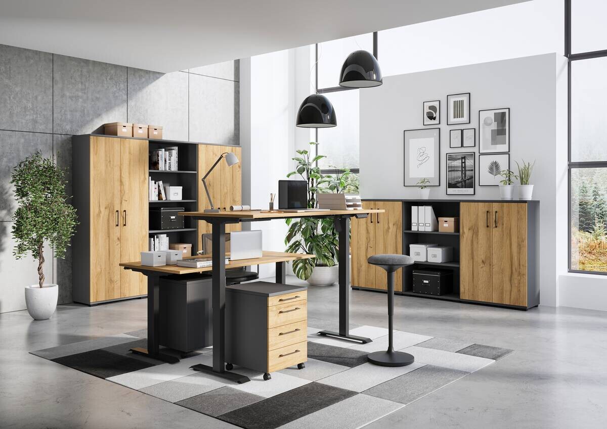 Rollcontainer 4251-564 Eiche Grand-Son Nachbildung Graphit B/H/T: ca. 42x61x49 cm