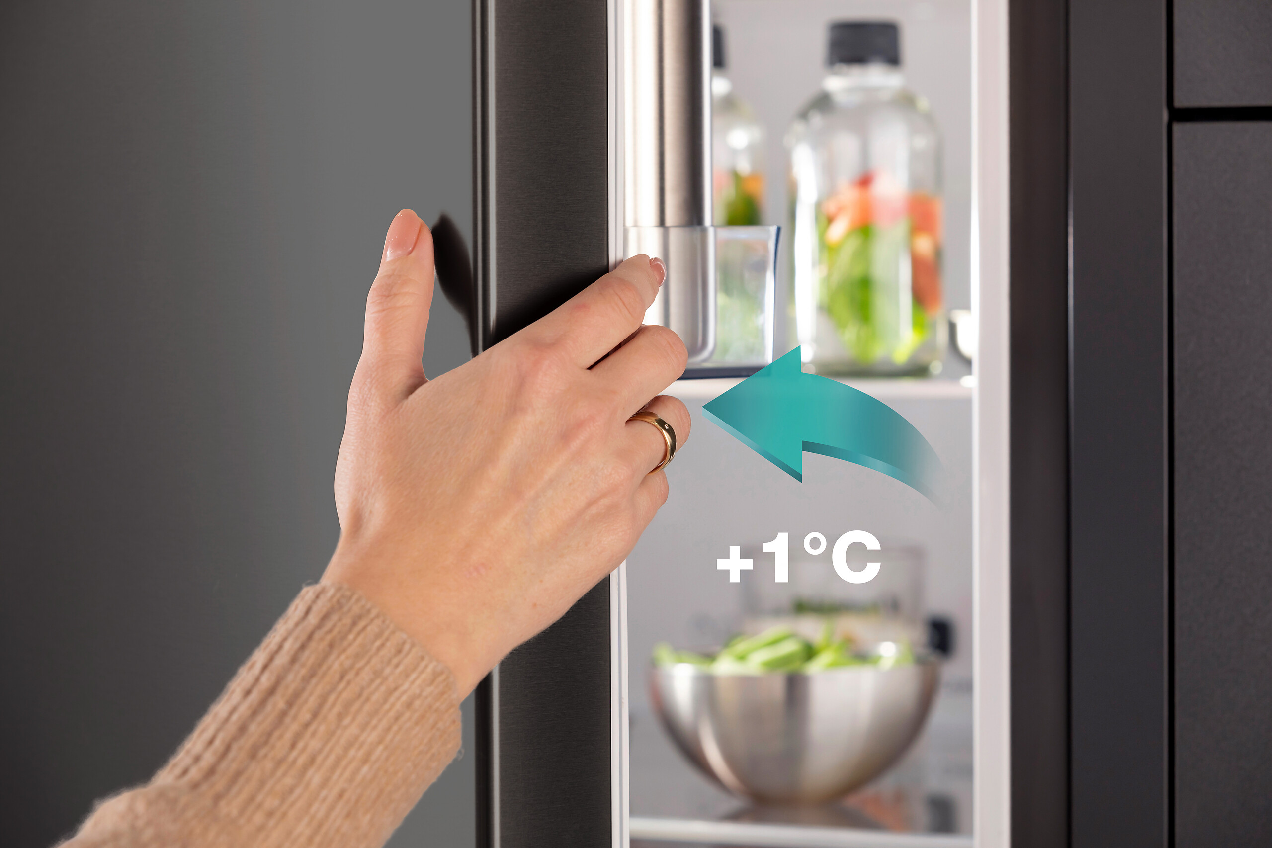 Hisense Kühl-/Gefrierkombination RM469N4AFD1 schwarz