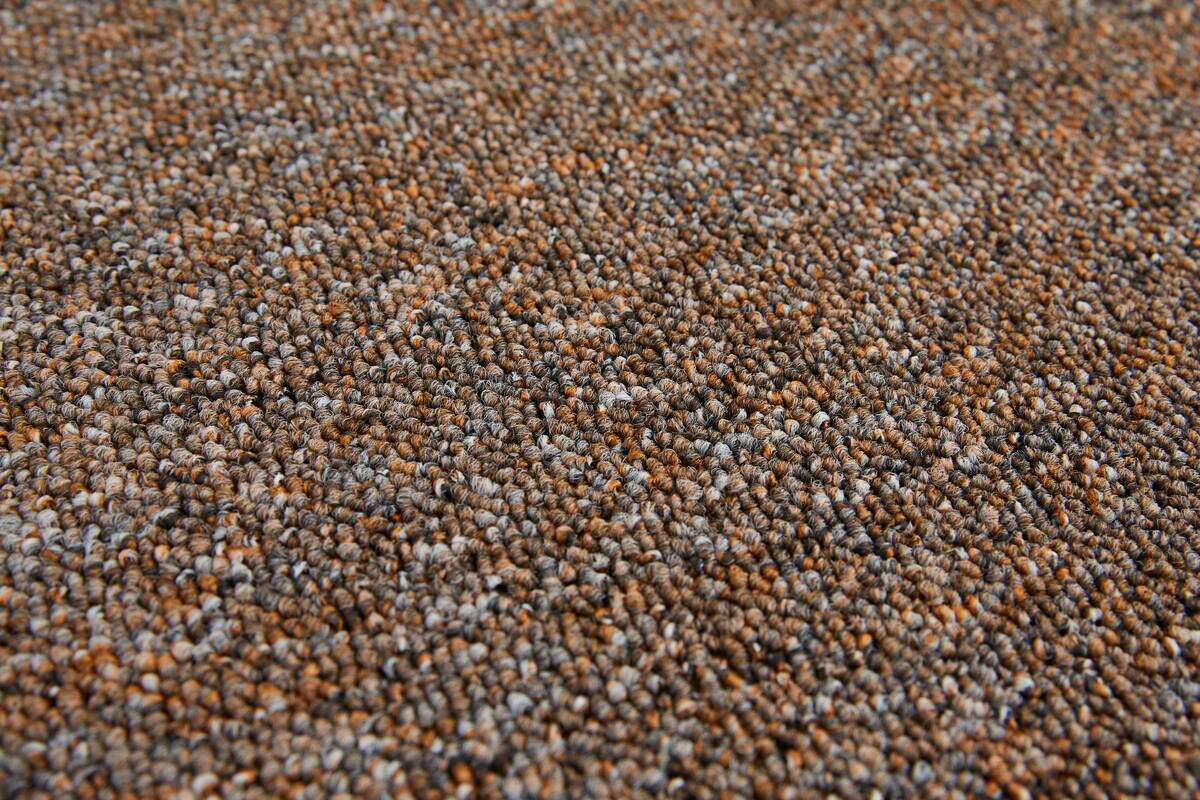 Teppichboden Rico mokka B/L: ca. 200x400 cm pro Stück