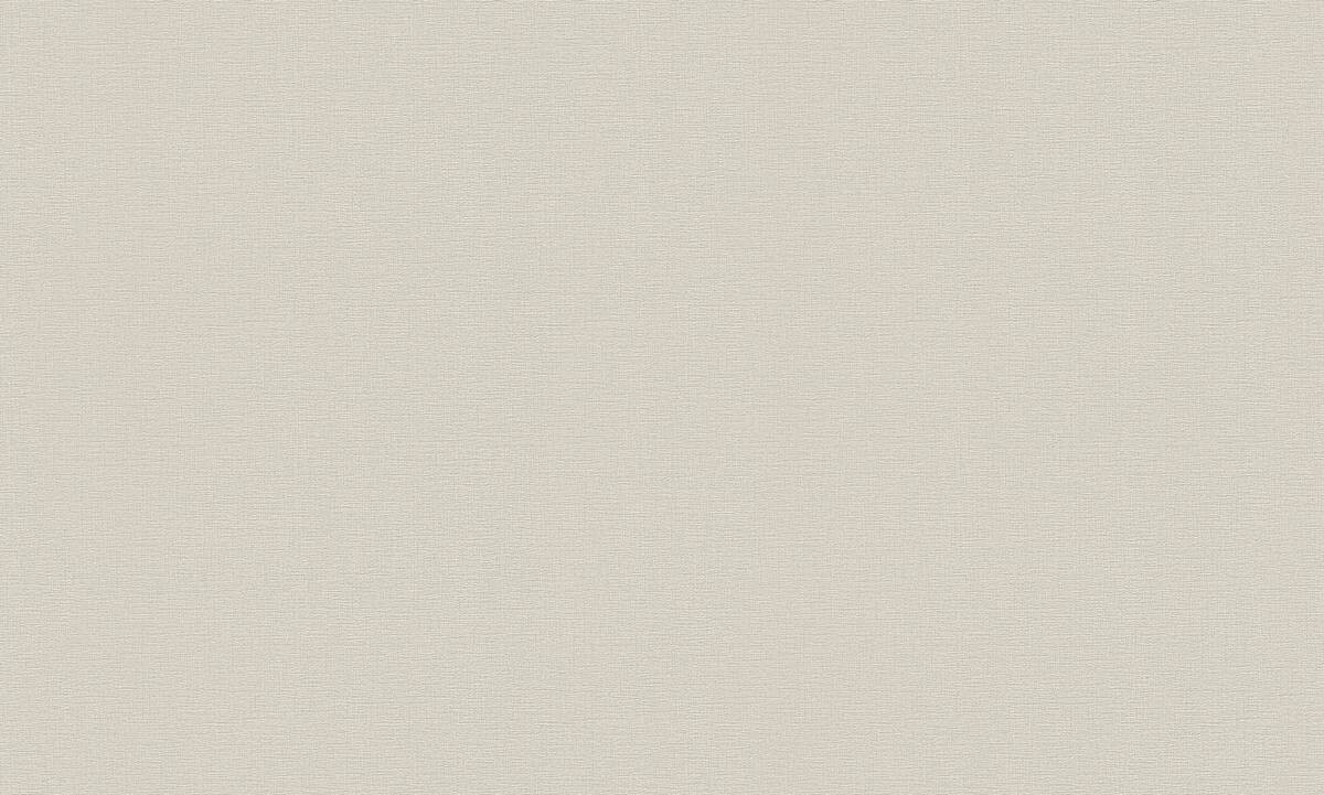 A.S.Creation Vliestapete Attractive Uni grau B/L: ca. 53x1005 cm