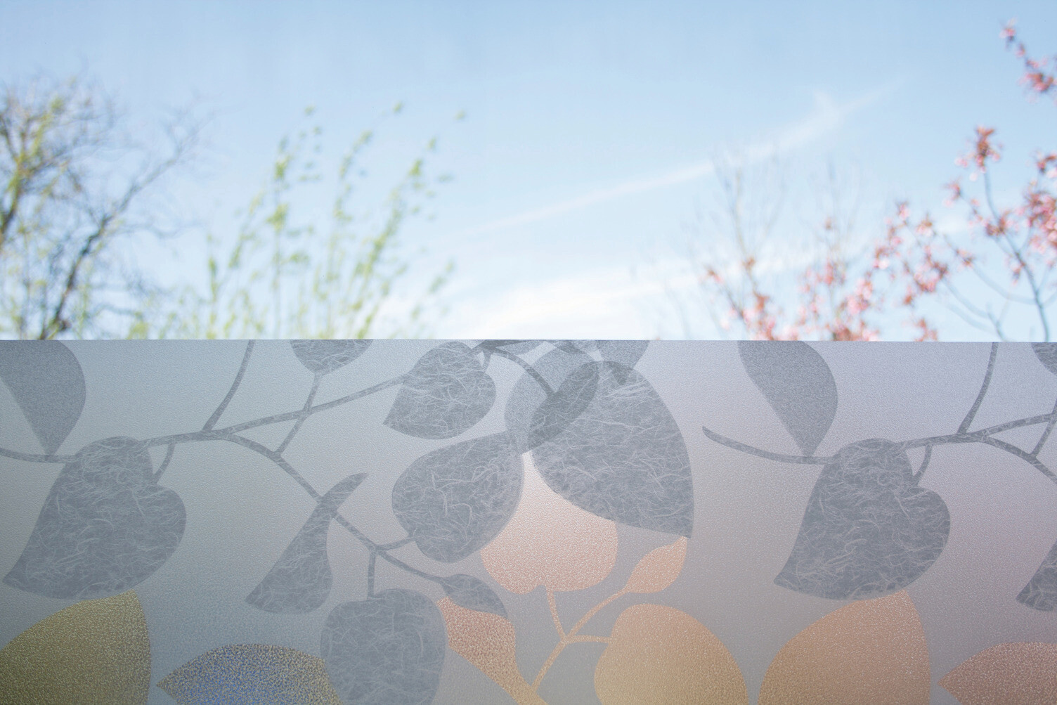 d-c-fix Fensterfolie Blätter transparent B/L: ca. 67,5x150 cm