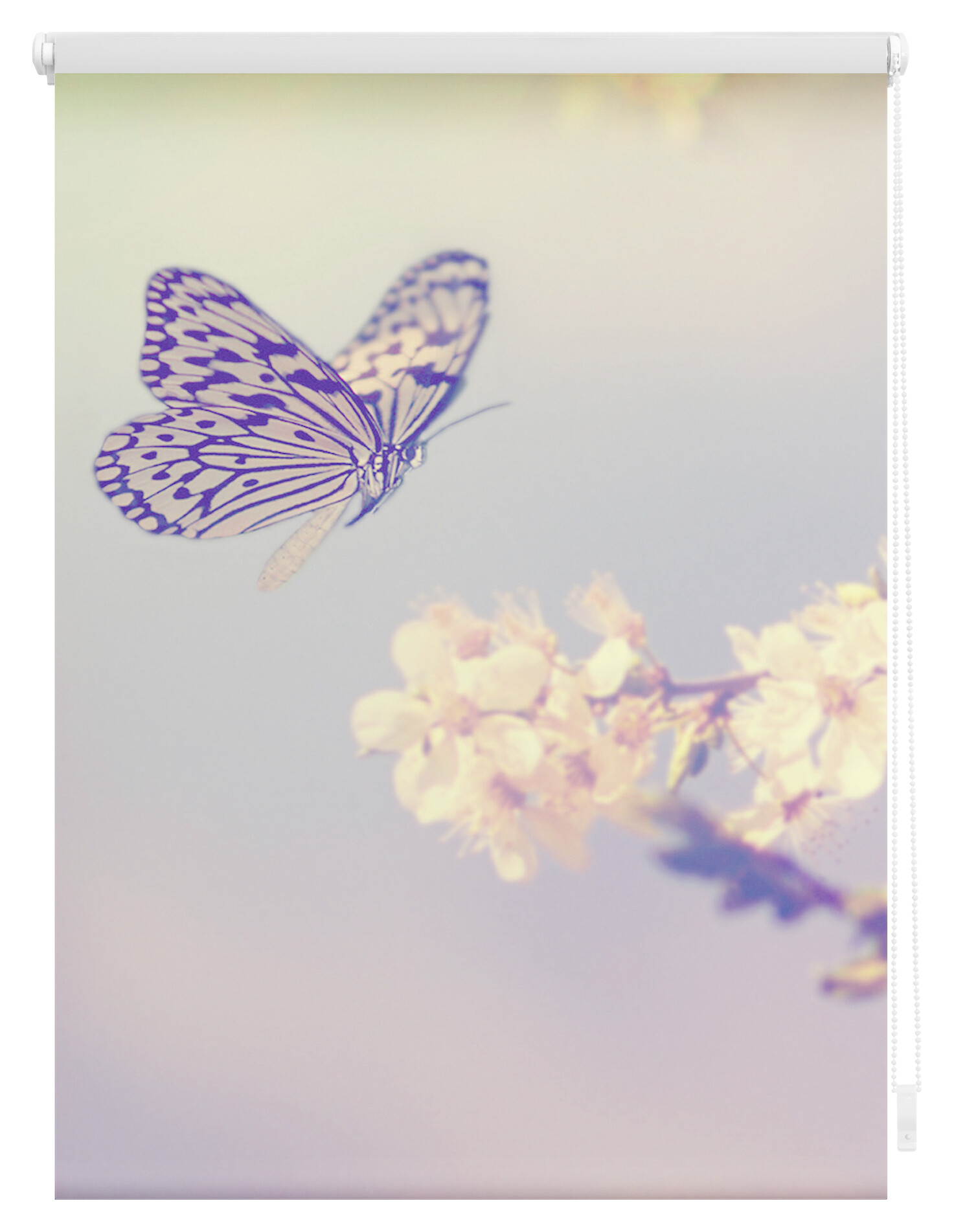 LICHTBLICK Rollo Schmetterling rosa B/L: ca. 45x150 cm