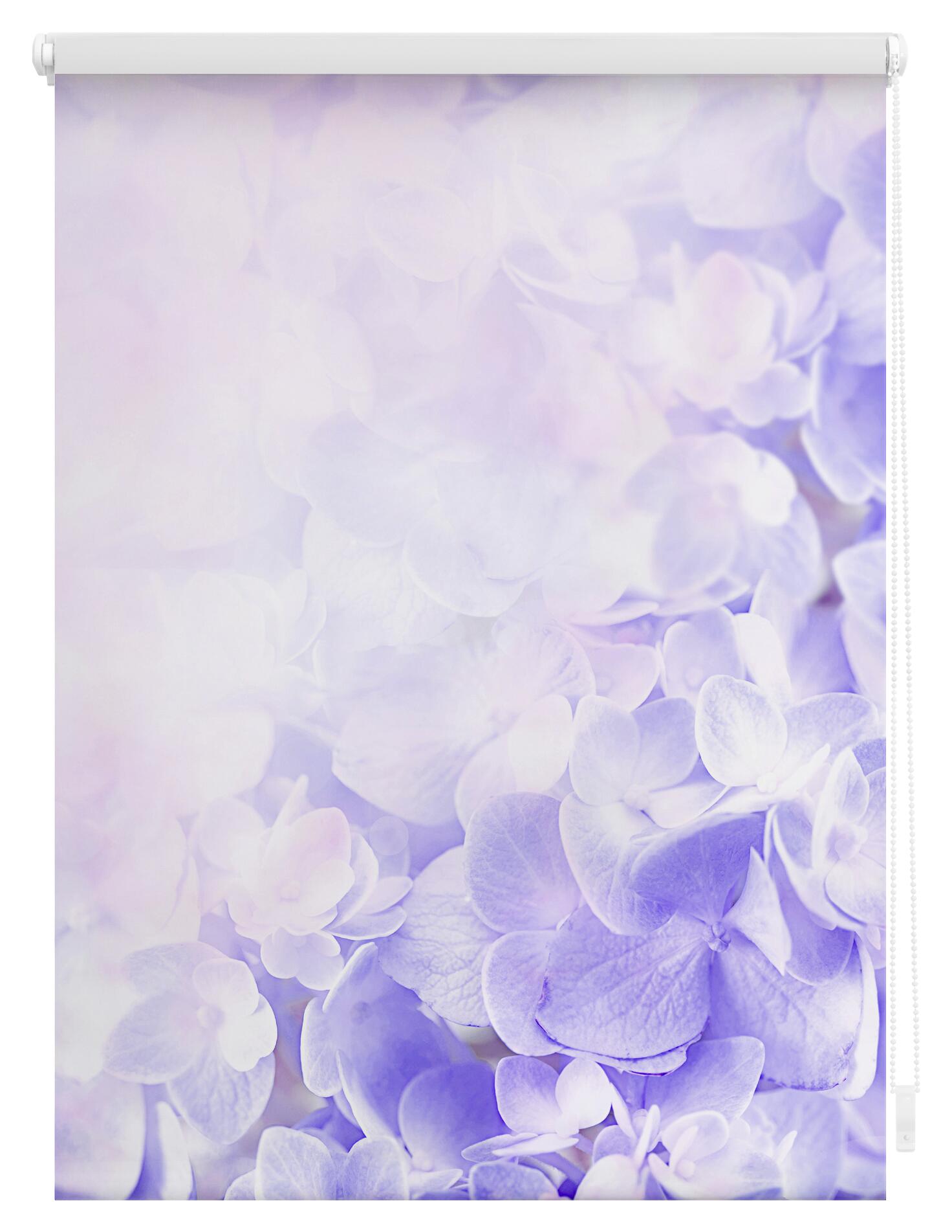 LICHTBLICK Rollo Hortensie lila B/L: ca. 60x150 cm
