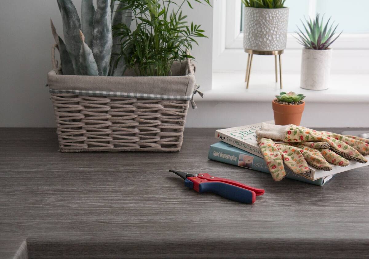 d-c-fix Dekofolie Holzoptik Eiche grau B/L: ca. 67,5x200 cm