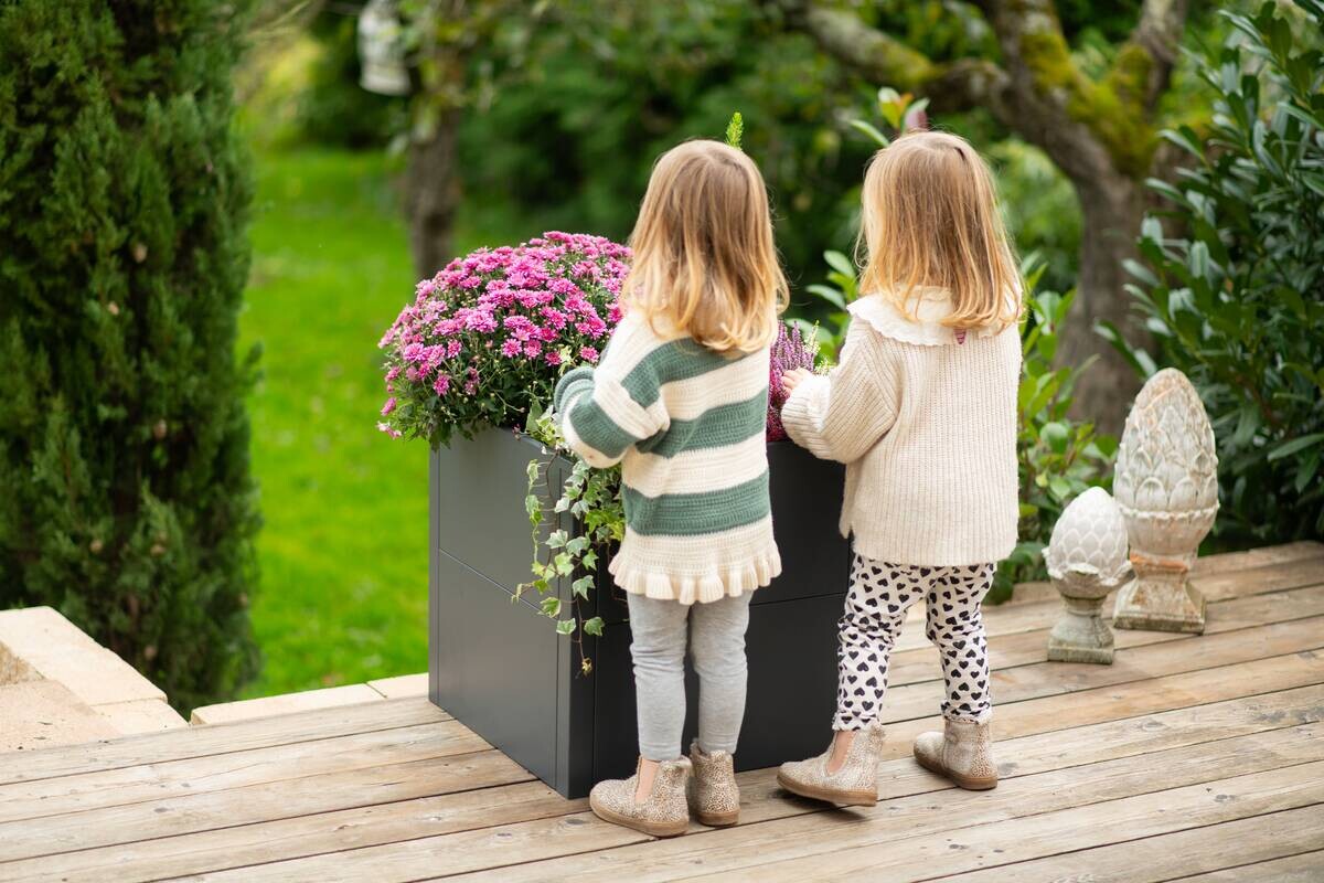 Westmann Pflanzkasten Talus anthrazit Metall B/H/L: ca. 50x50x50 cm