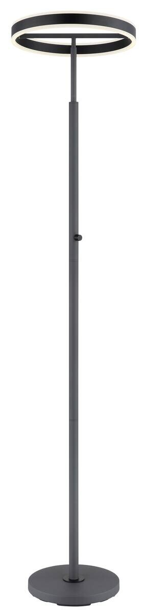 GLOBO Stehleuchte schwarz anthrazit Opal Metall Acryl Aluminium H/D: ca. 181x40 cm 1 Brennstellen