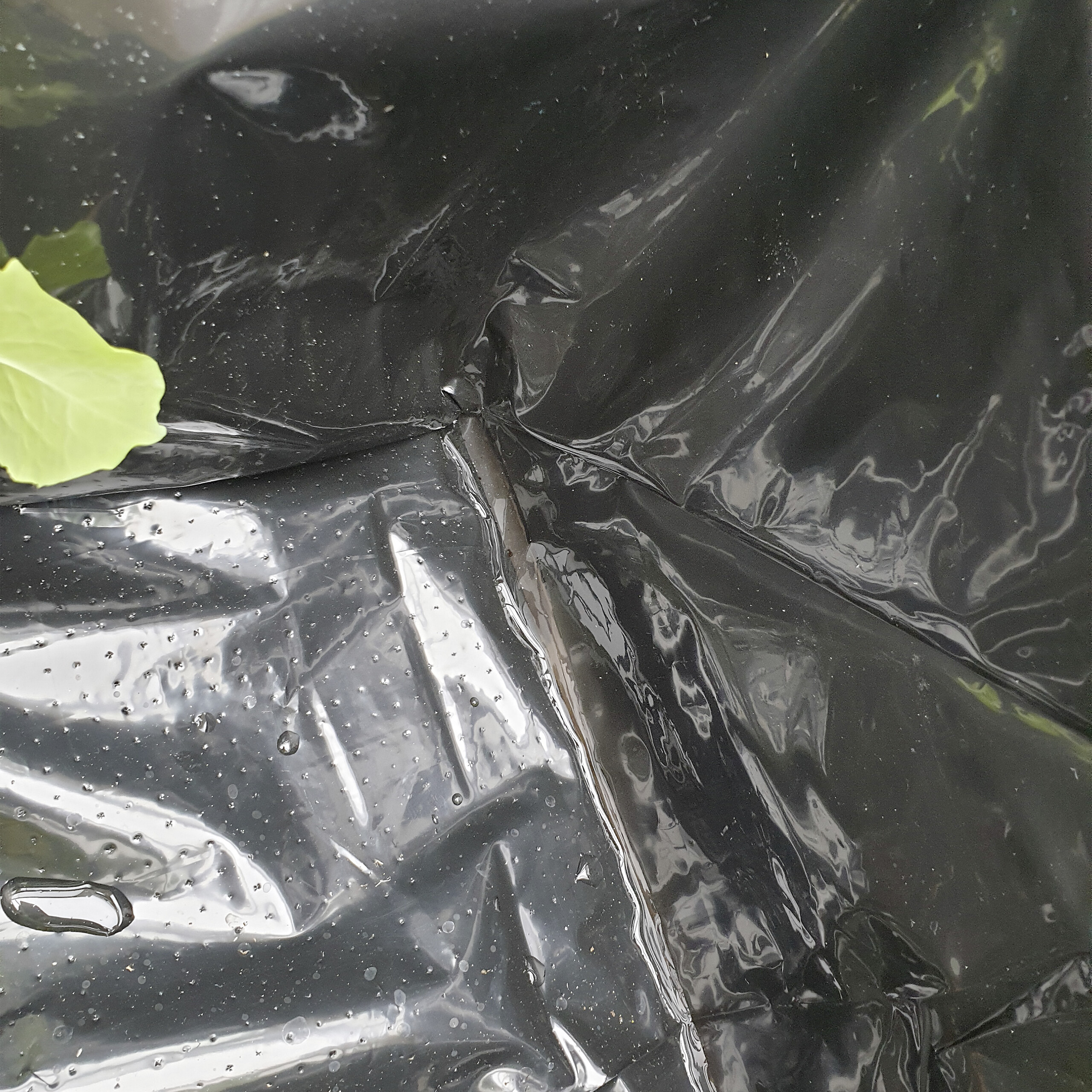 AXI Hochbeet B/H/L: ca. 54x120x120 cm