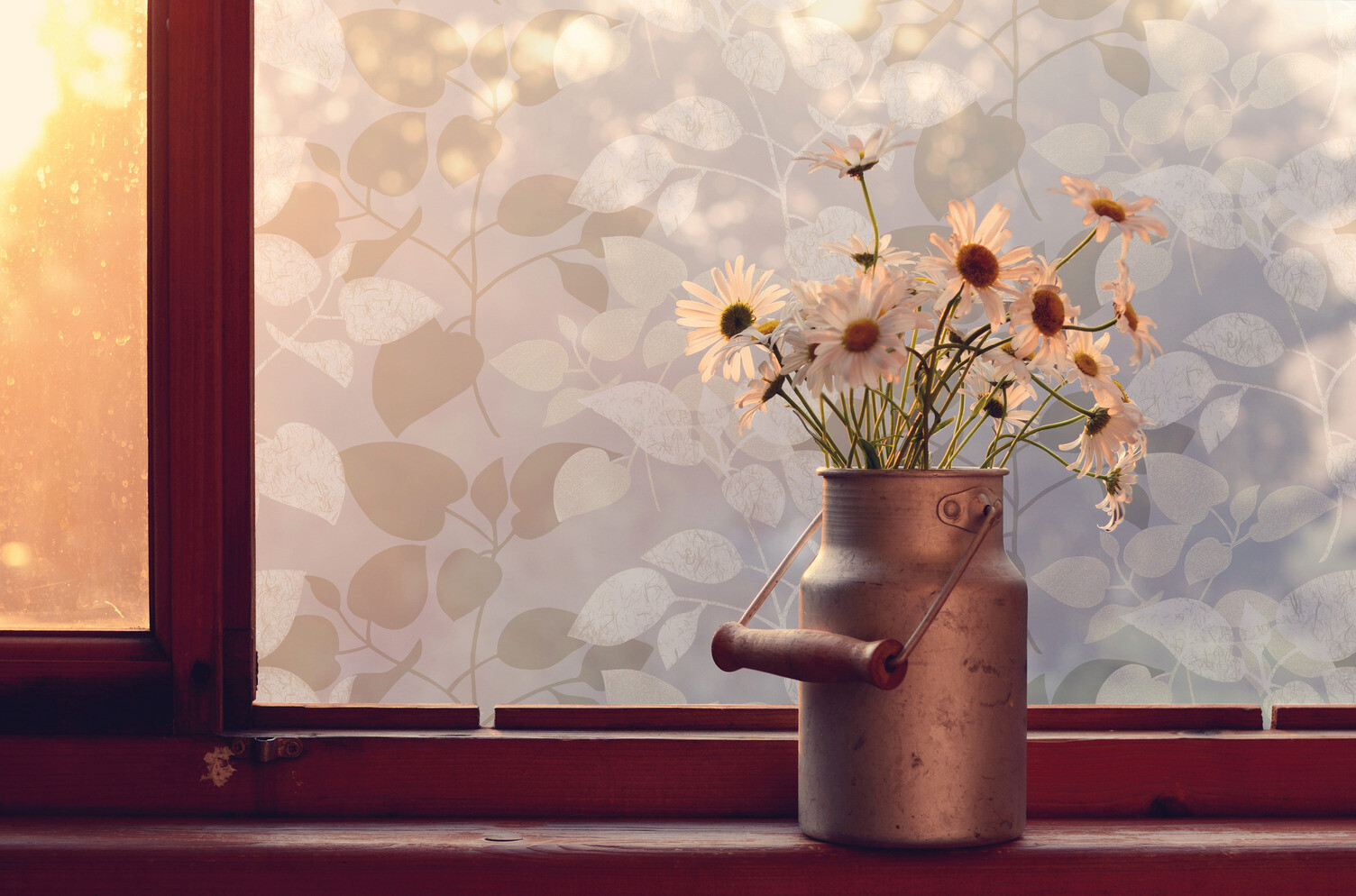 d-c-fix Fensterfolie Blätter transparent B/L: ca. 67,5x150 cm