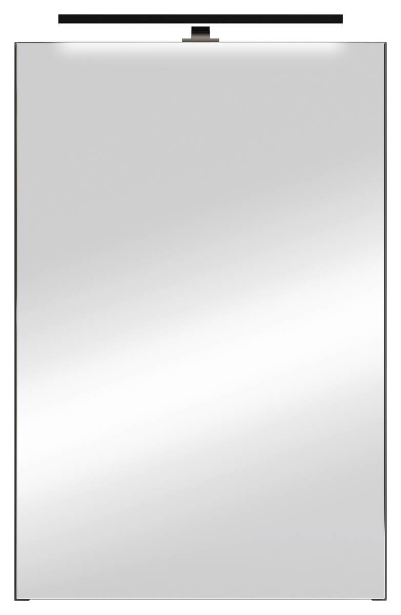 Spiegelschrank SPREE anthrazit B/H/T: ca. 40x60x15 cm