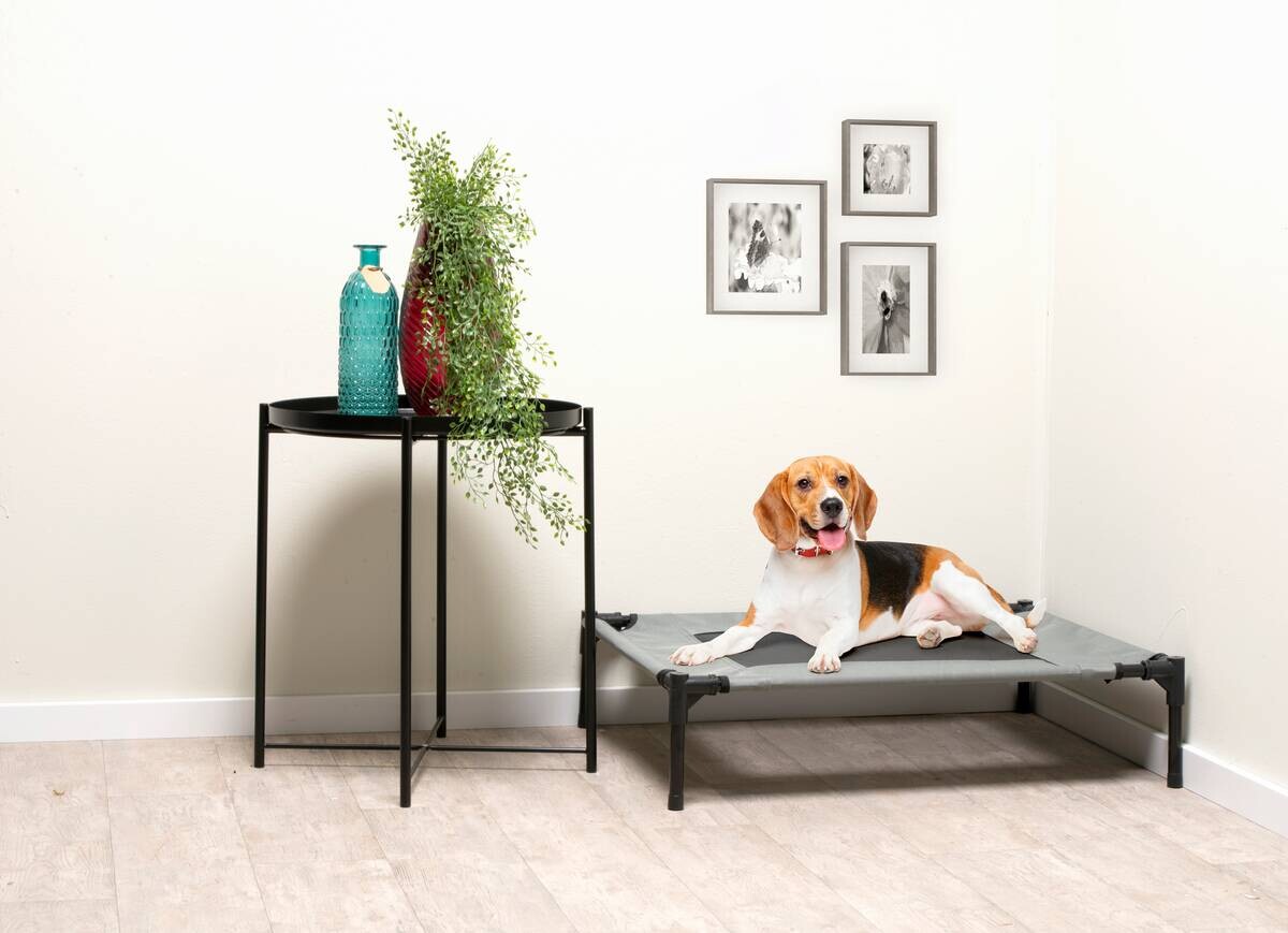 Pet Comfort Haustierbett grau Polyester B/H/L: ca. 81x17x64 cm