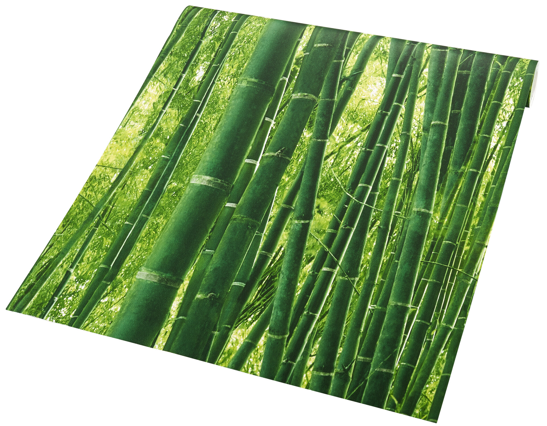 Papiertapete Bambus grün B/L: ca. 53x1005 cm