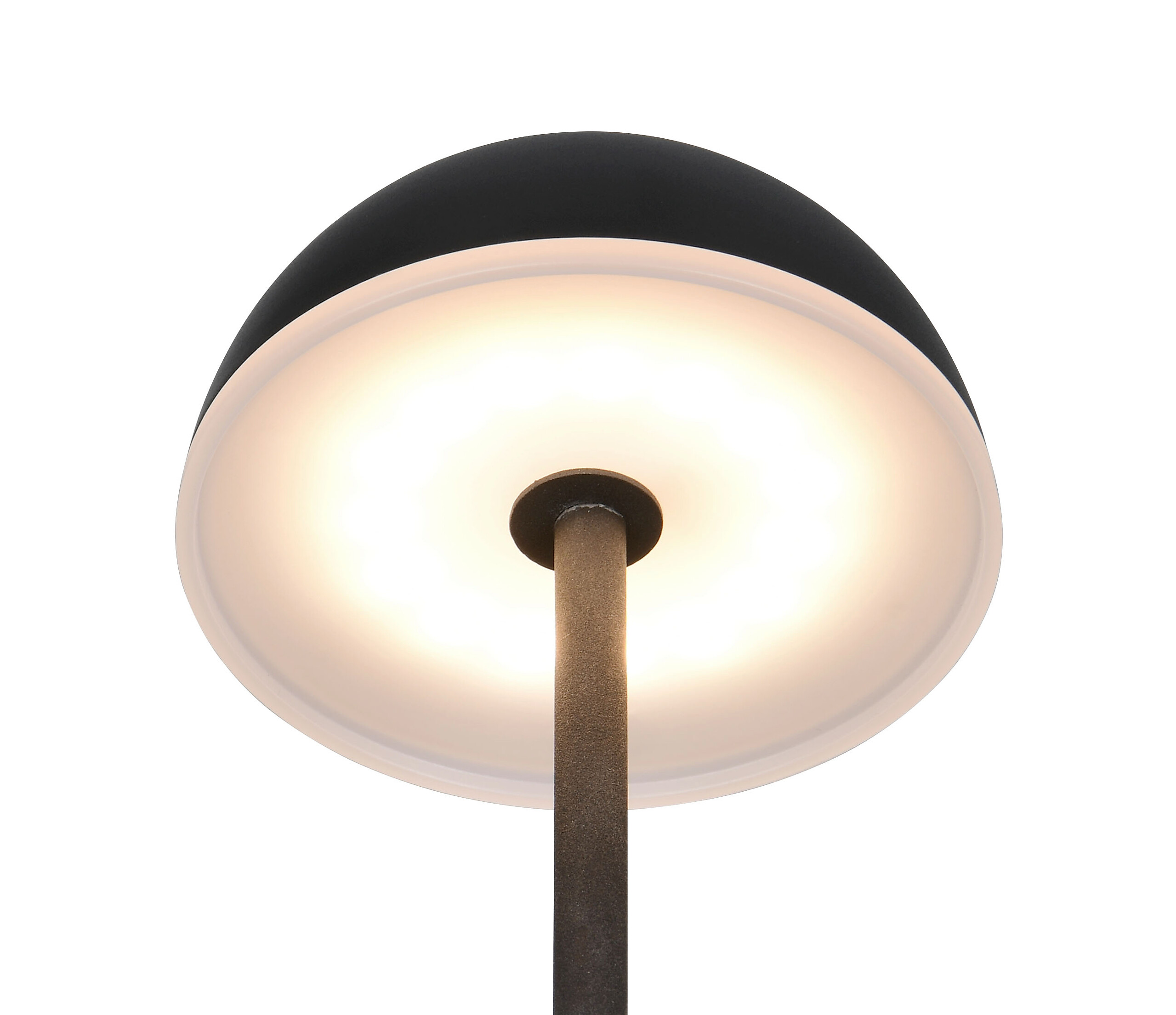 Reality Leuchten LED-Tischleuchte Tembo schwarz Kunststoff B/L: ca. 11x28,3 cm