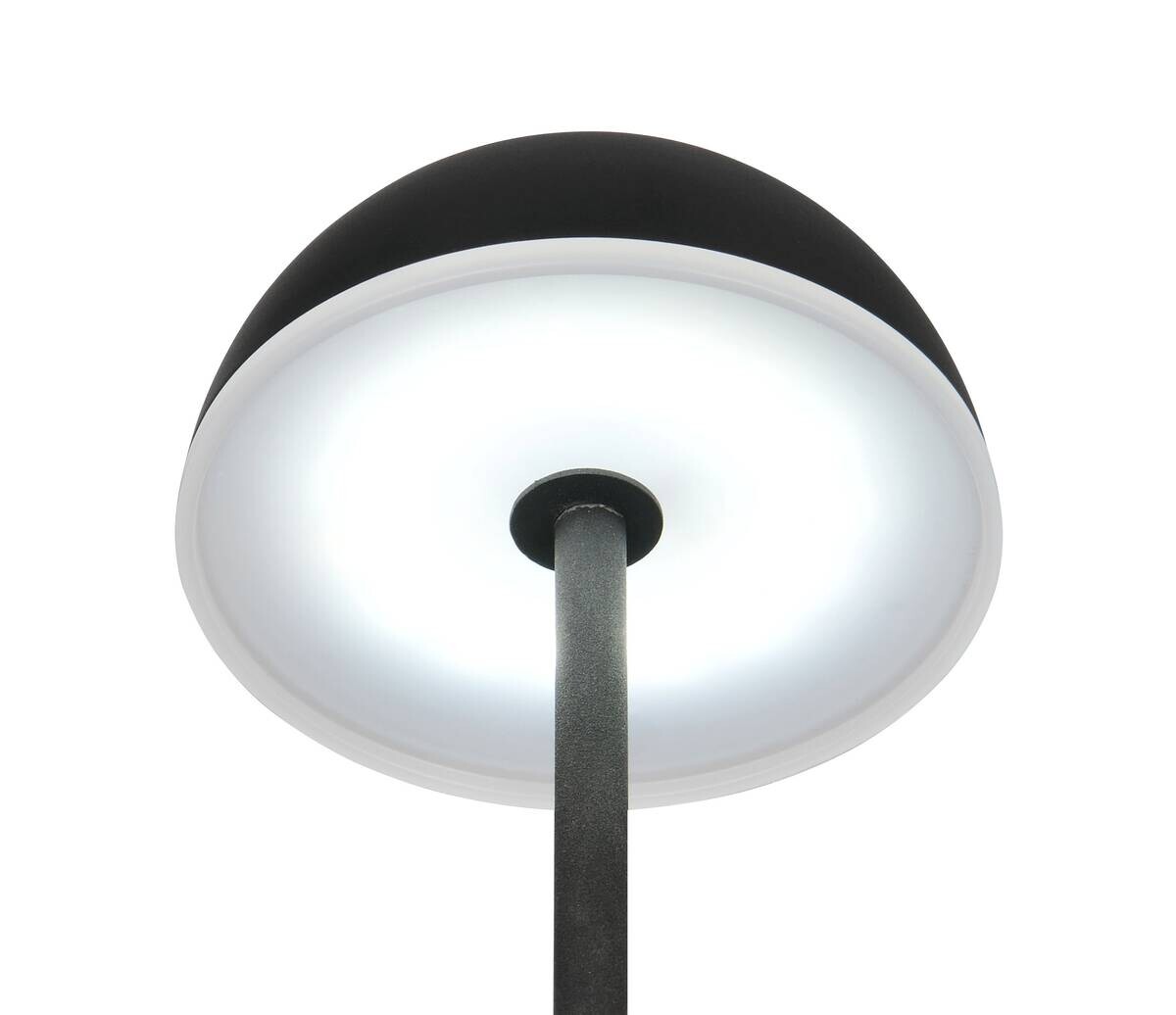 Reality Leuchten LED-Tischleuchte Tembo schwarz Kunststoff B/L: ca. 11x28,3 cm