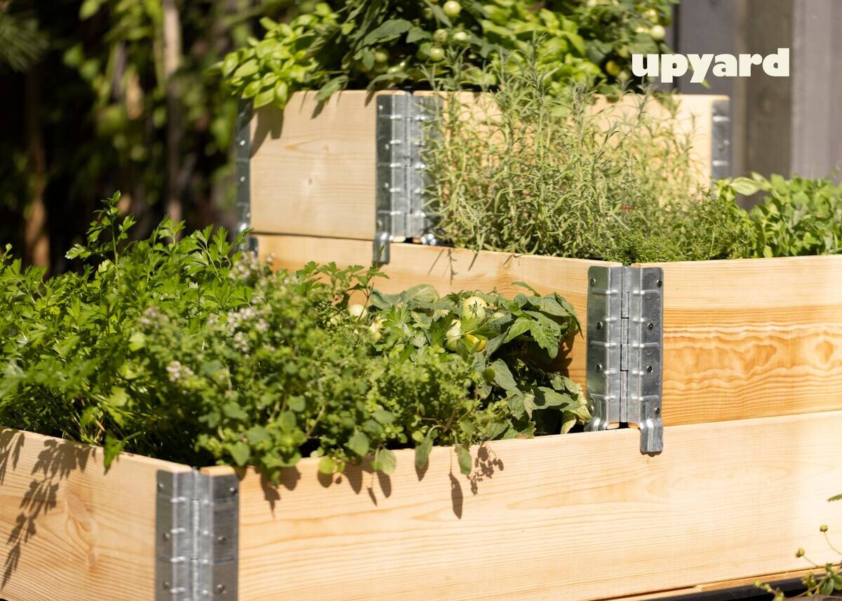 UPYARD Stufenbeet INDUSTRIAL natur Holz B/L: ca. 40x60 cm