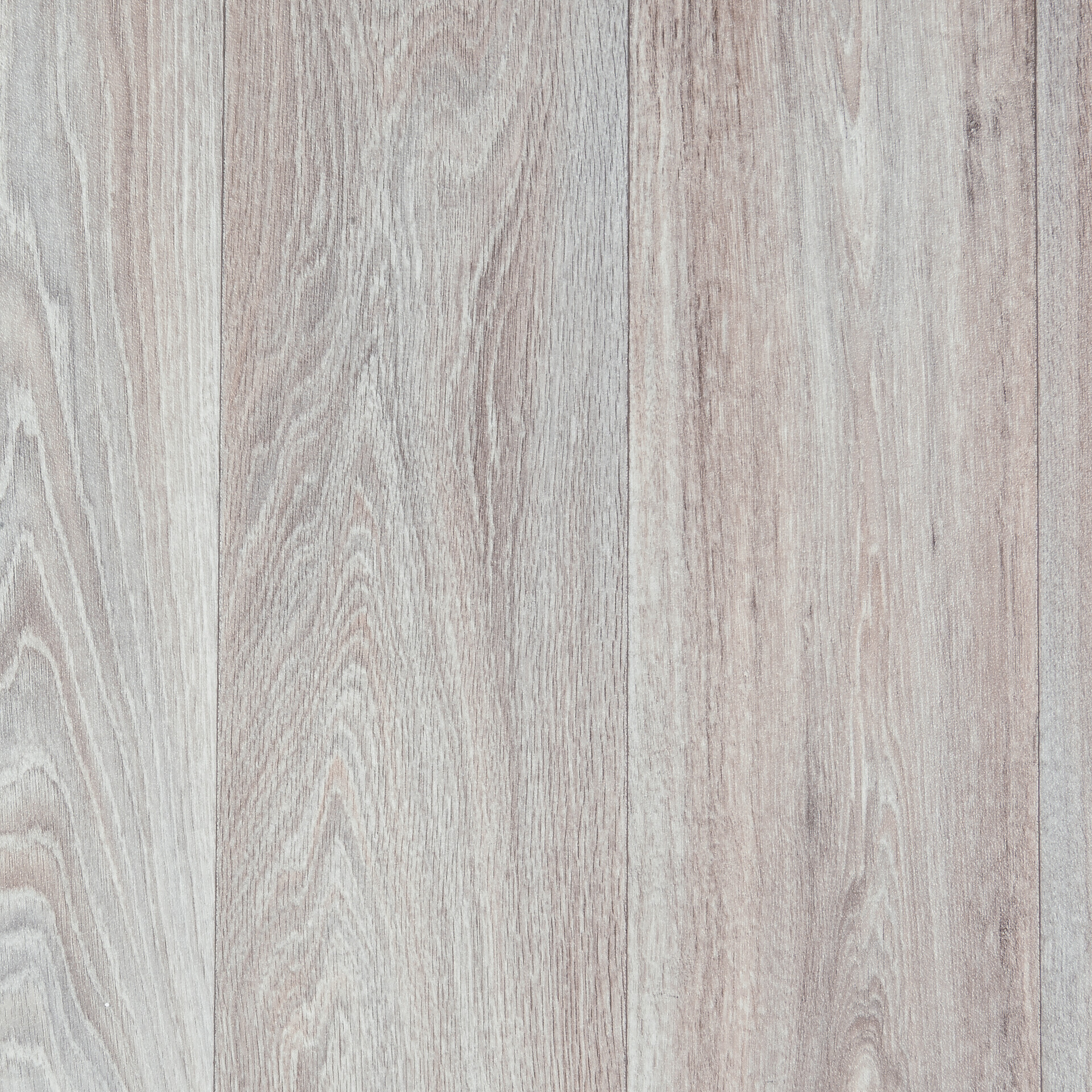 Vinylboden Texstyle grau Eiche B: ca. 200 cm pro m²