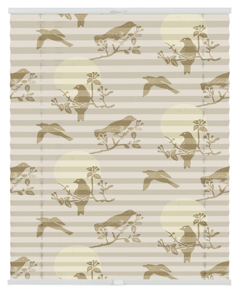 LICHTBLICK Spannplissee Moon Birds beige B/L: ca. 100x130 cm