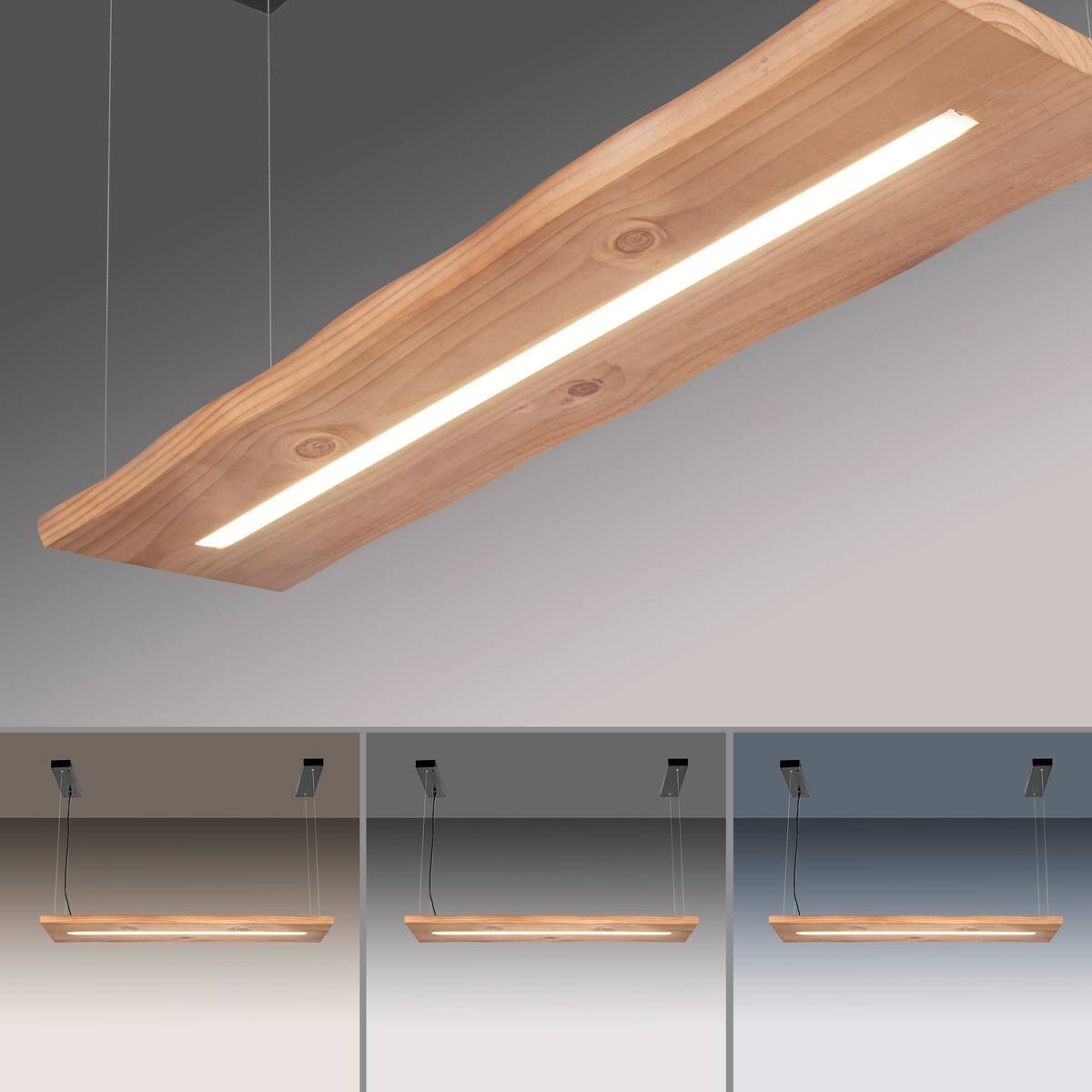 Paul Neuhaus LED-Pendelleuchte PALMA 2625-79