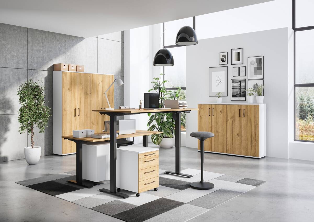 Aktenschrank 4247-559 Eiche Grand-Son Nachbildung weiß B/H/T: ca. 80x123x40 cm