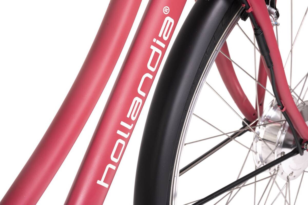 Hollandia E-Cityrad Carry on Carry on 28'' 28 Zoll Rahmenhöhe 54 cm 3 Gänge rot rot ca. 250 W ca. 36 V ca. 28 Zoll