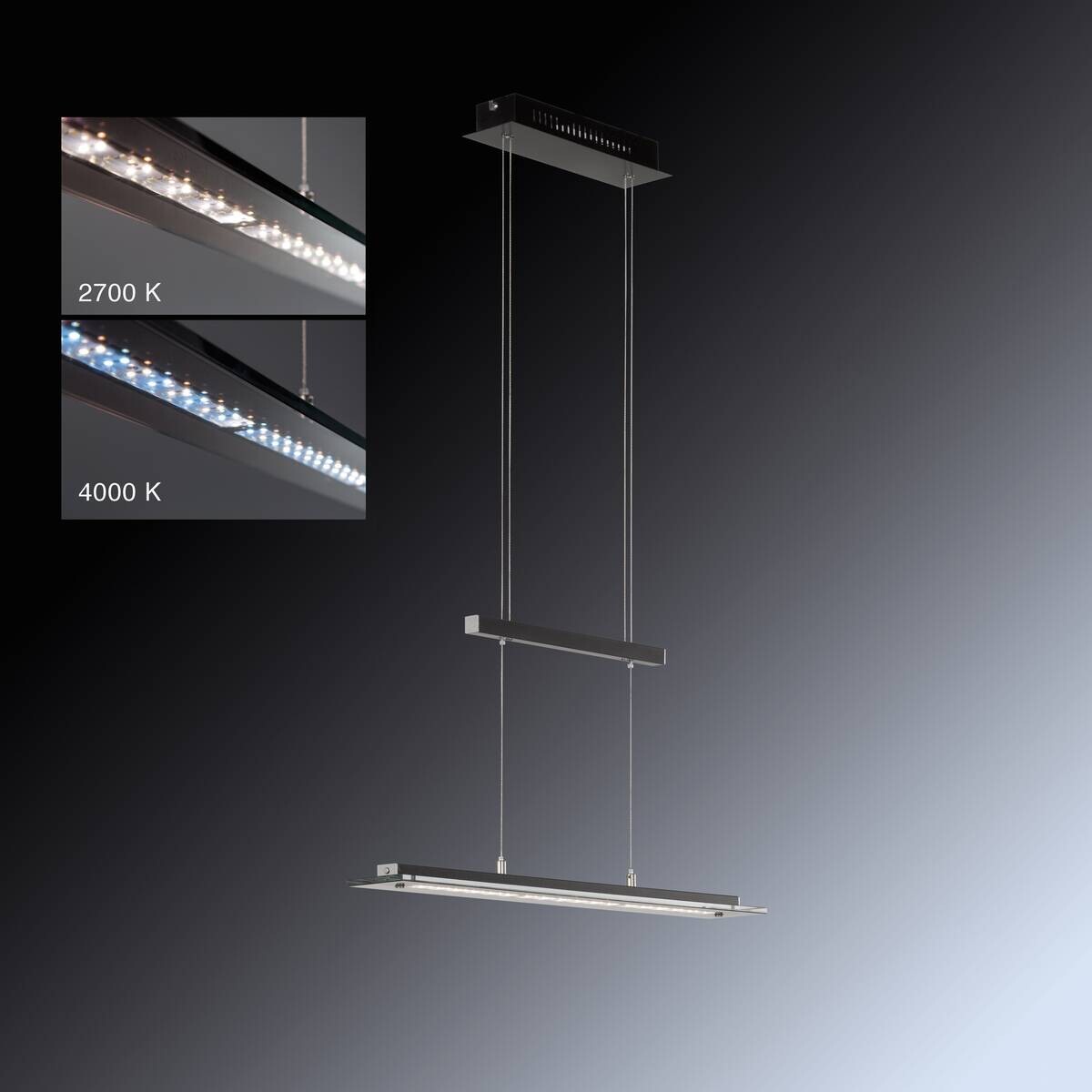 Fischer & Honsel LED-Pendelleuchte 60442 Rauch Chrom schwarz Glas Metall B/H/T: ca. 88x150x9 cm 1.0 Brennstellen