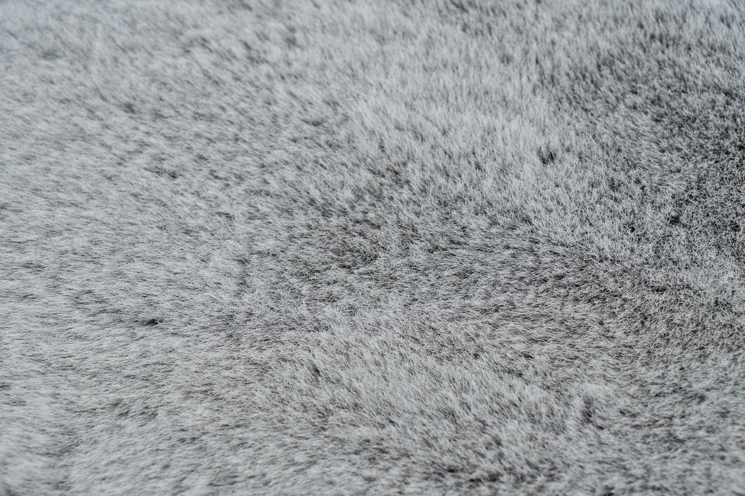 Obsession Teppich Infinity grau B/H/L: ca. 60x6x90 cm