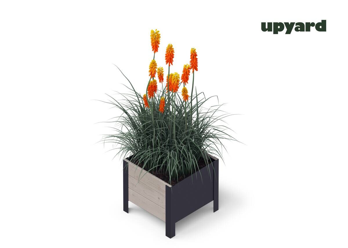 UPYARD Hochbeet MODERN grau Holz B/H/L: ca. 36x32x36 cm