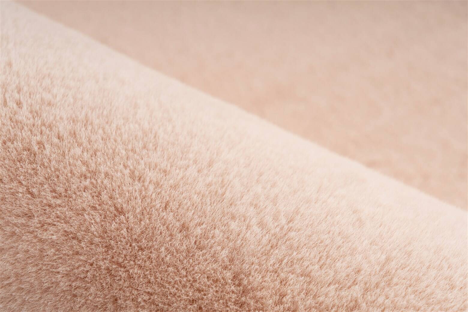 Padiro Hochflorteppich Rabbit Light 525 creme B/H/L: ca. 160x3,6x160 cm