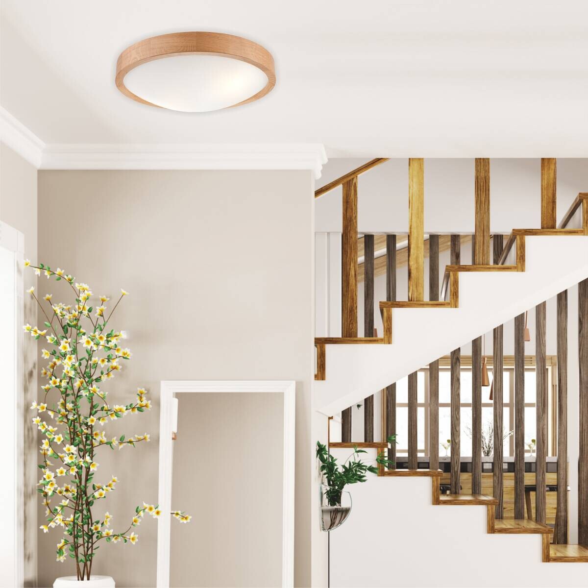 Lamkur Deckenleuchte Anello Eiche Glas Holz H/L: ca. 8x37 cm E27 2 Brennstellen