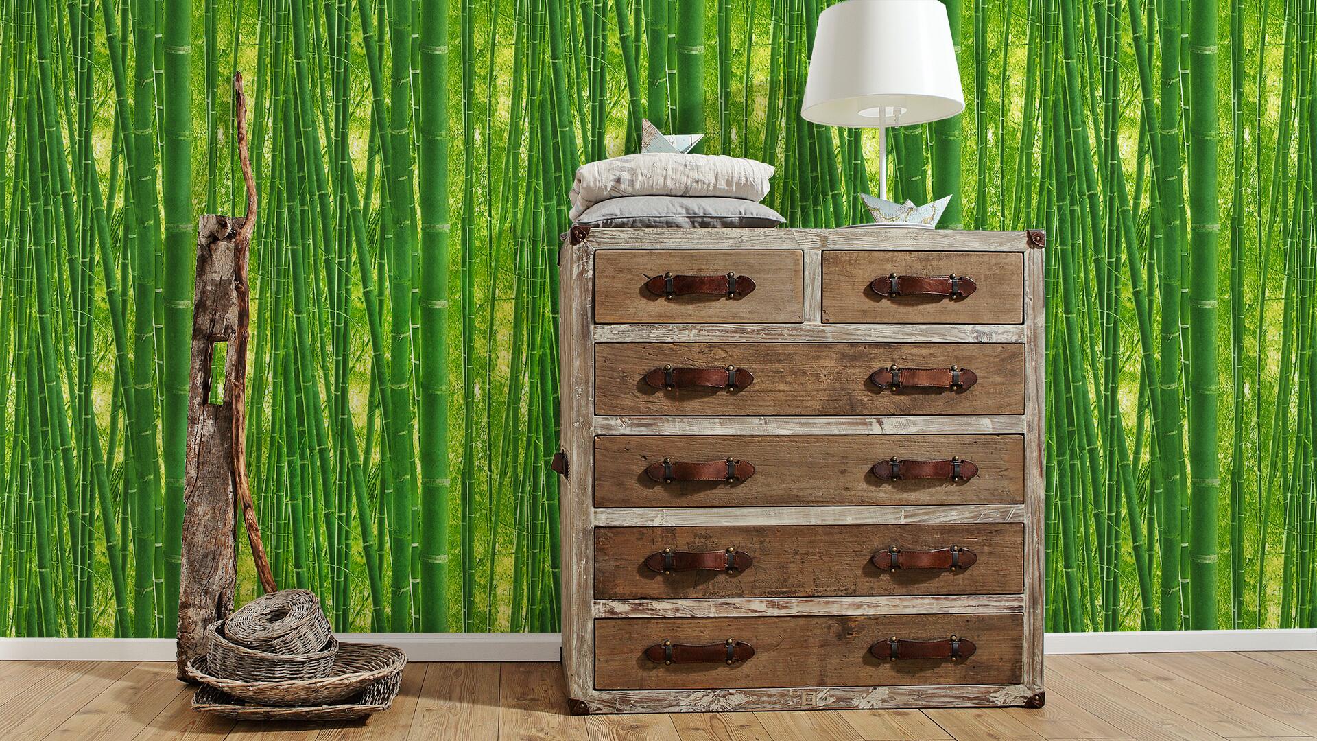 Papiertapete Bambus grün B/L: ca. 53x1005 cm
