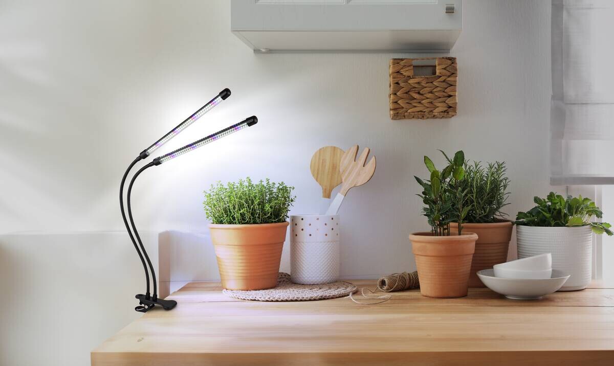 GLOBO LED-Klemmstrahler mattschwarz transparent Metall Kunststoff B/H/T: ca. 45x47x41 cm 1 Brennstellen