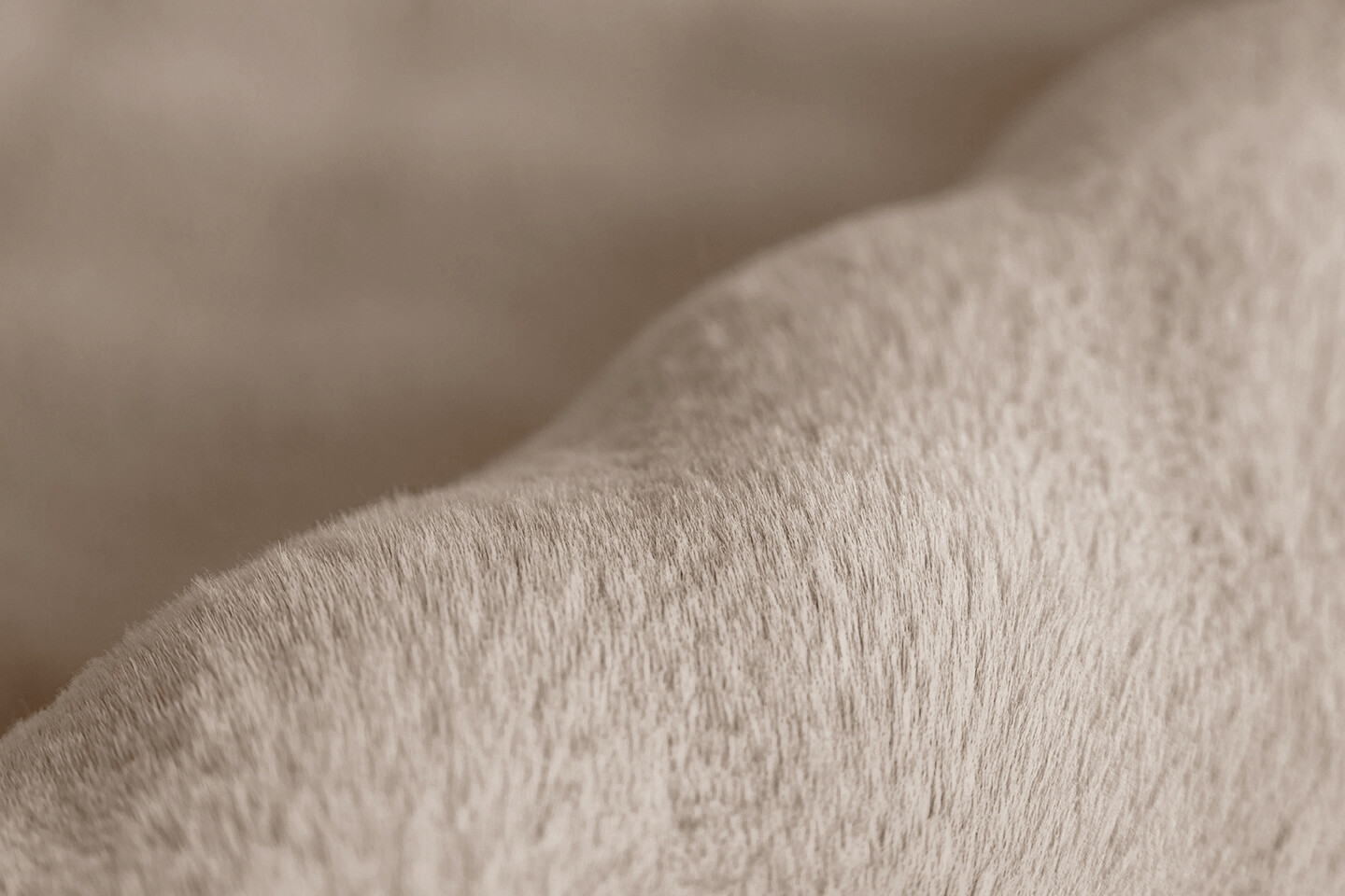 Padiro Hochflorteppich Hailey 125 beige B/H/L: ca. 120x3x160 cm