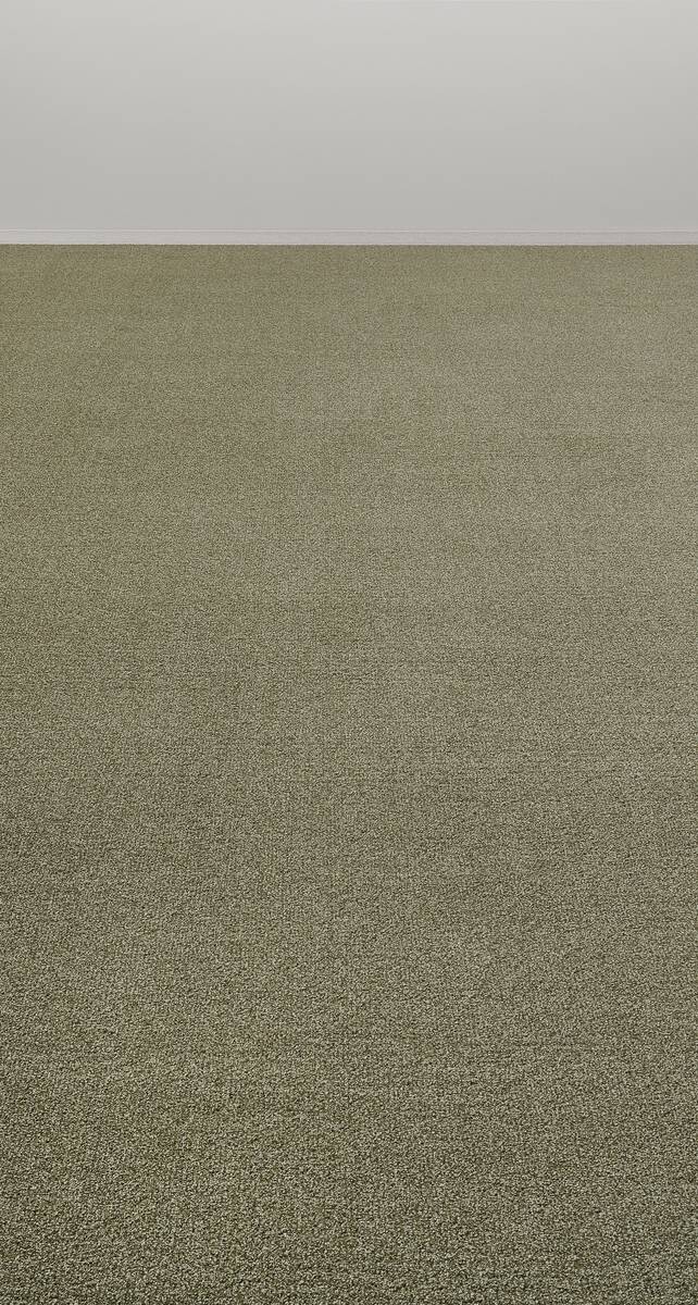 Teppichboden Java grün B: ca. 400 cm pro m²