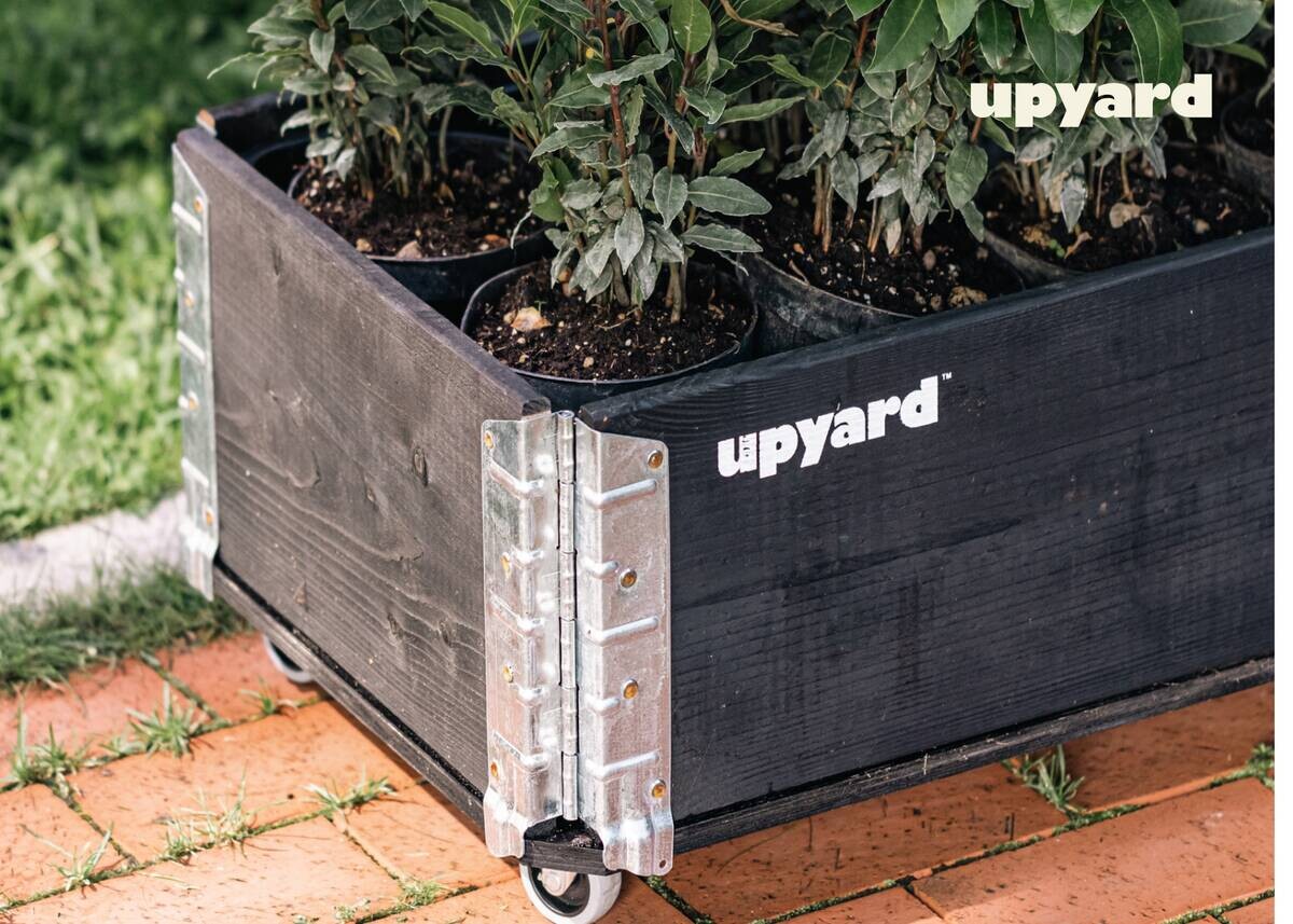 UPYARD Kräuterkasten INDUSTRIAL schwarz Holz B/L: ca. 30x80 cm