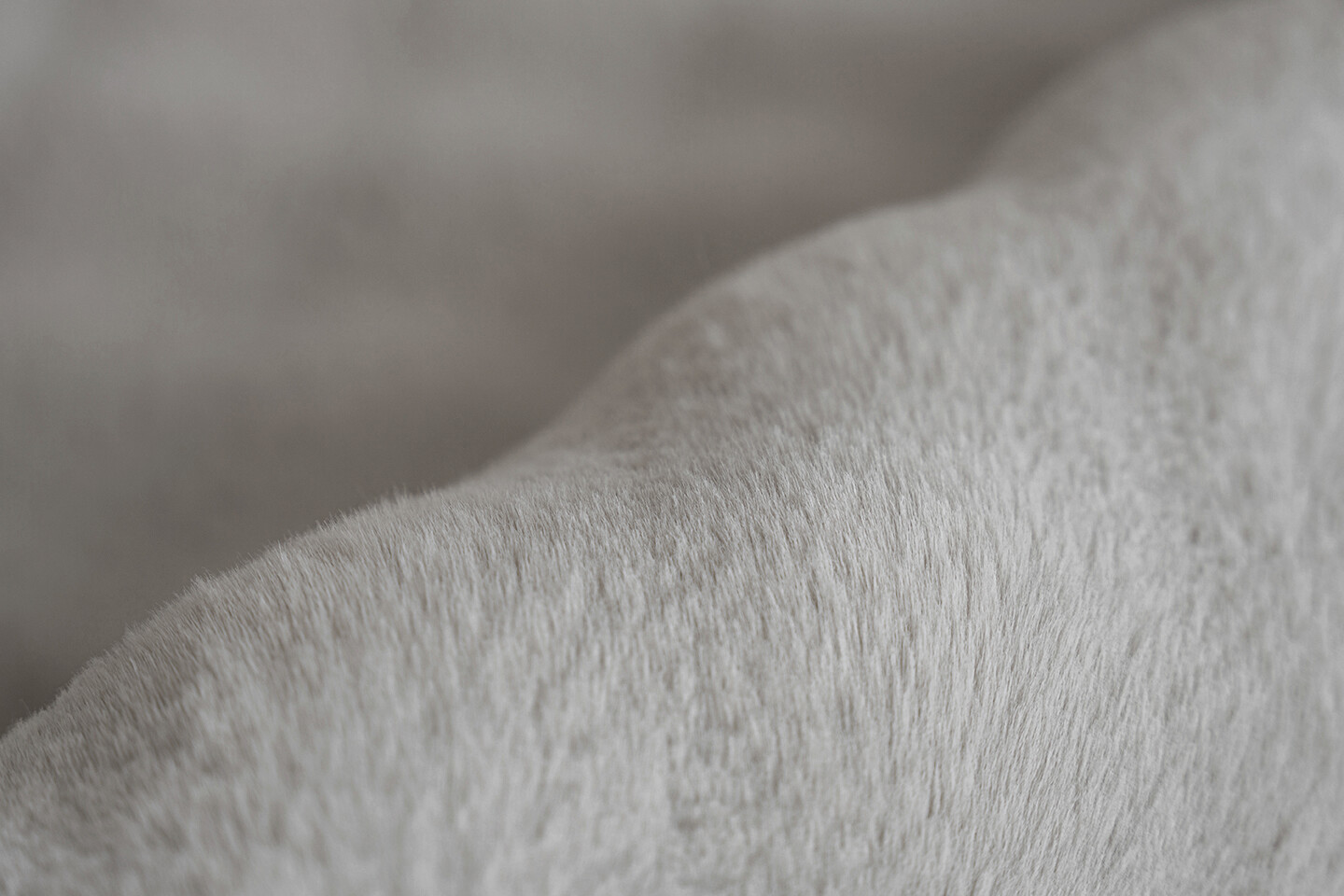 Padiro Hochflorteppich Hailey 125 grau B/H/L: ca. 120x3x160 cm