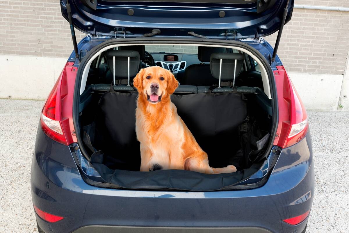 Hundedecke Auto Kofferraum schwarz Polyester B/H/L: ca. 104x33x155 cm