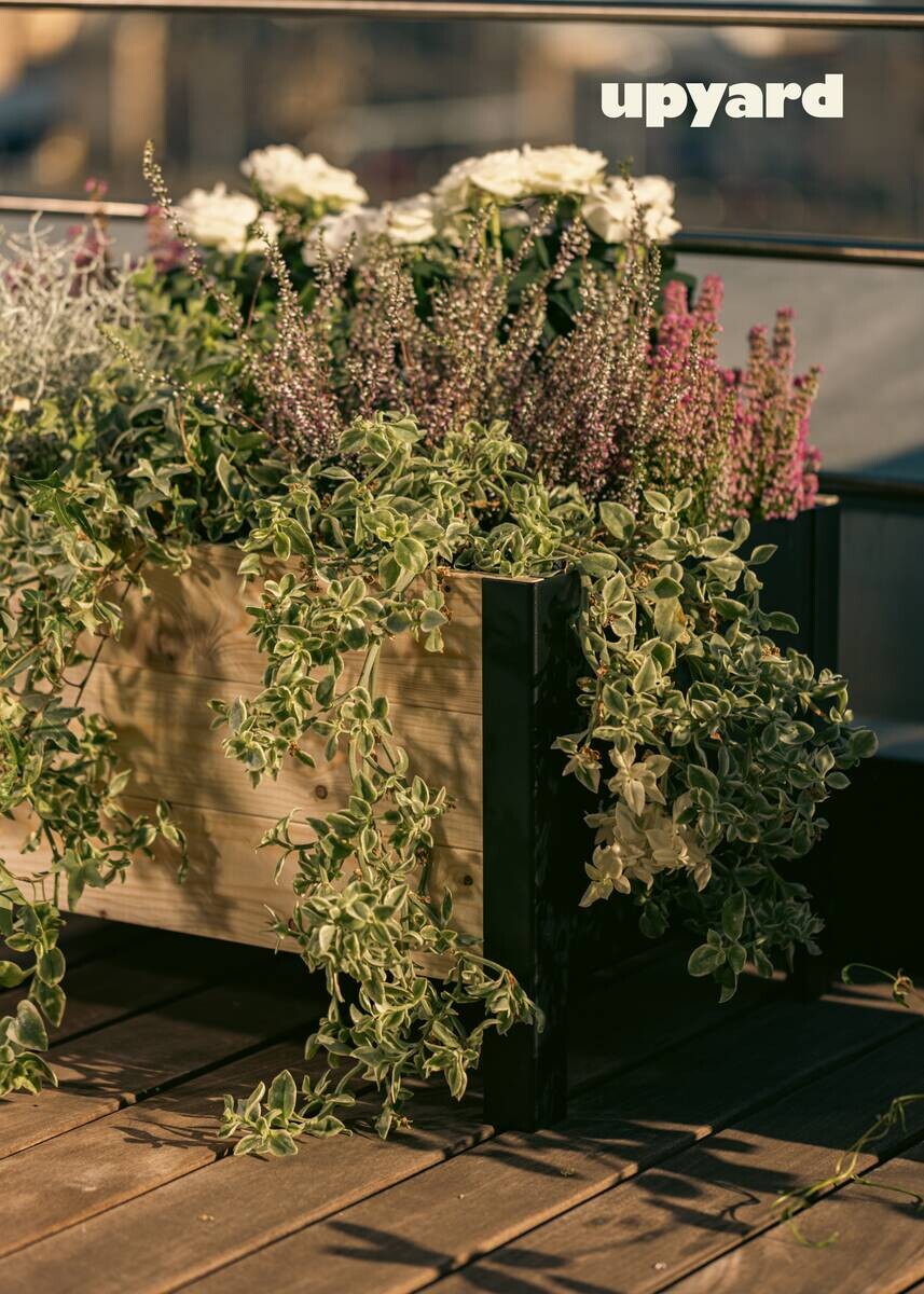 UPYARD Hochbeet MODERN natur Holz B/H/L: ca. 36x32x58 cm