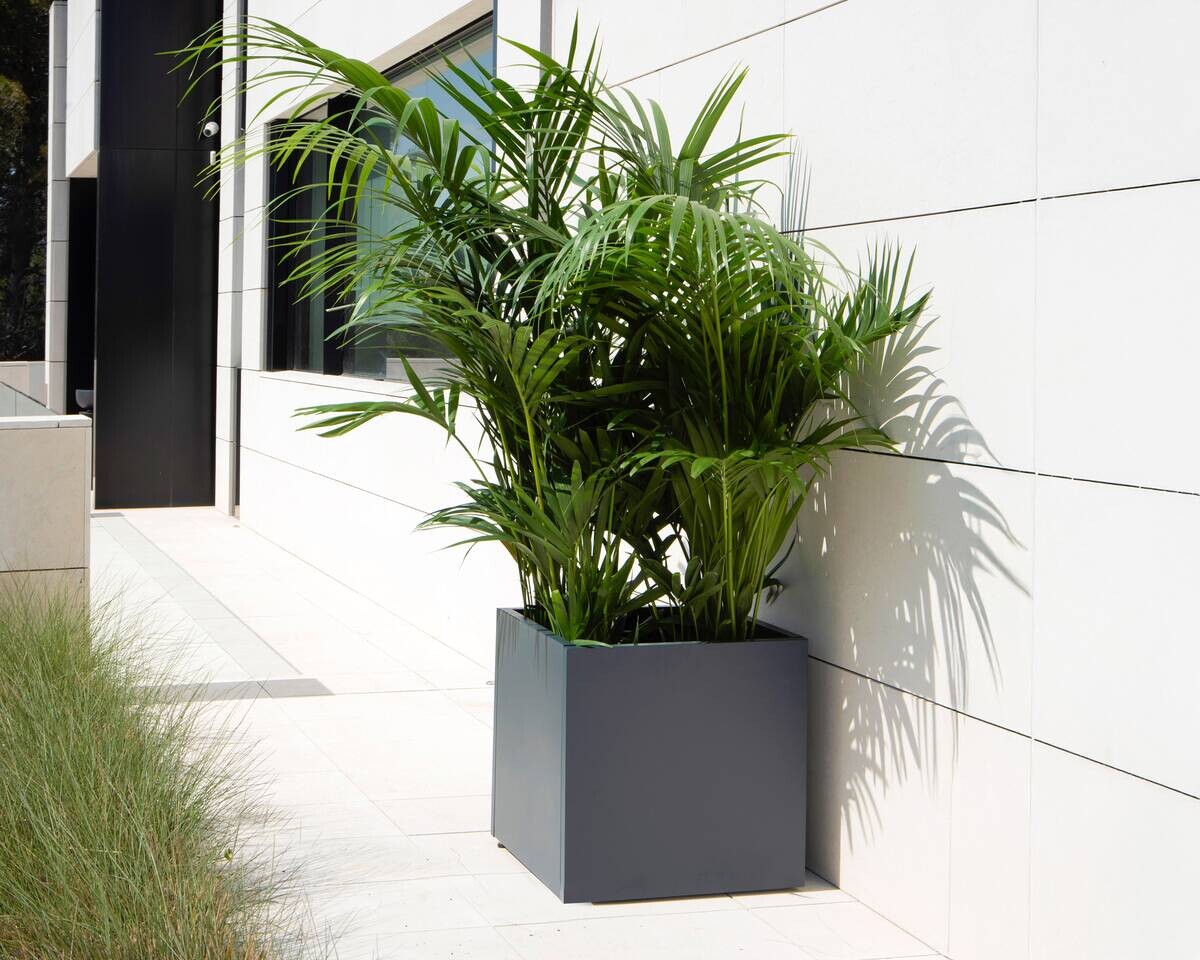 Herstera Garden Pflanzkasten anthrazit Stahl B/H/L: ca. 50x50x50 cm