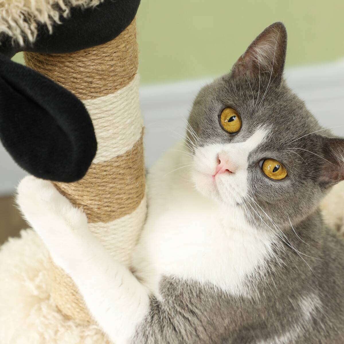 PawHut Kratzbaum braun Polyester B/H/L: ca. 34x98x48 cm