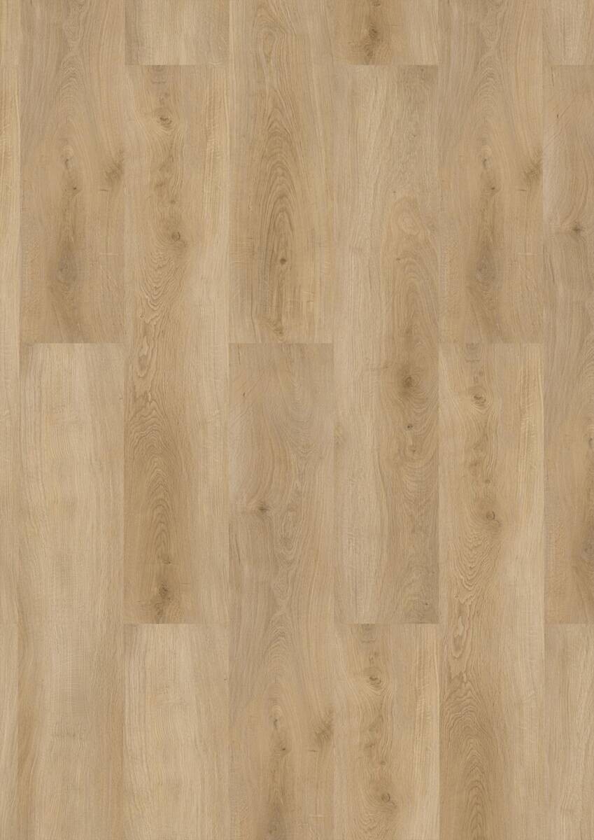 Click-Vinylboden Buchrasen ca. 2,782 m² im Paket B/L: ca. 22,8x122 cm pro Paket